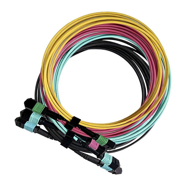 Can optical switches be used for network construction 