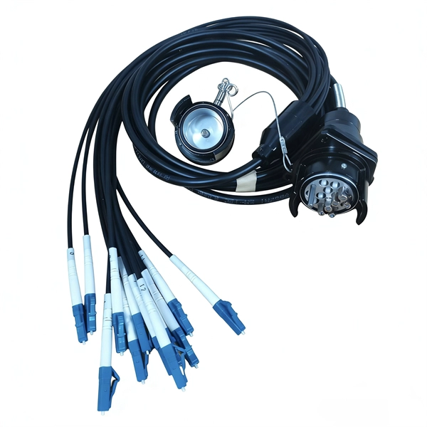 What goes well with the 1550 optical module 